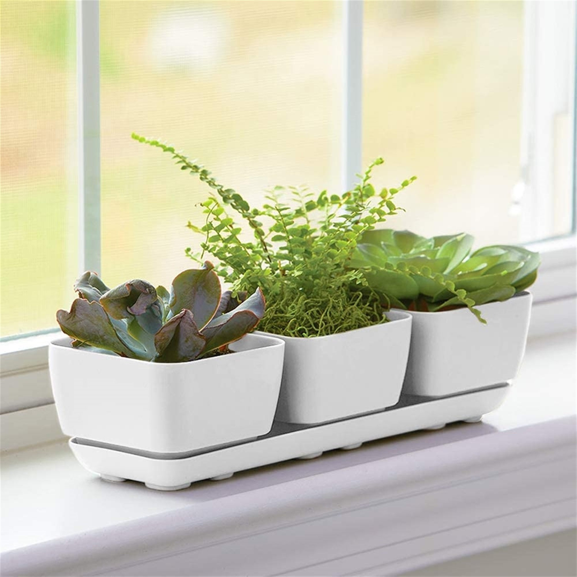 Ebern Designs Zosha 3 Piece Plastic Pot Planter Set | Wayfair